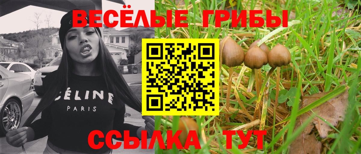 Псилоцибиновые грибы MAGIC MUSHROOMS Сосновоборск