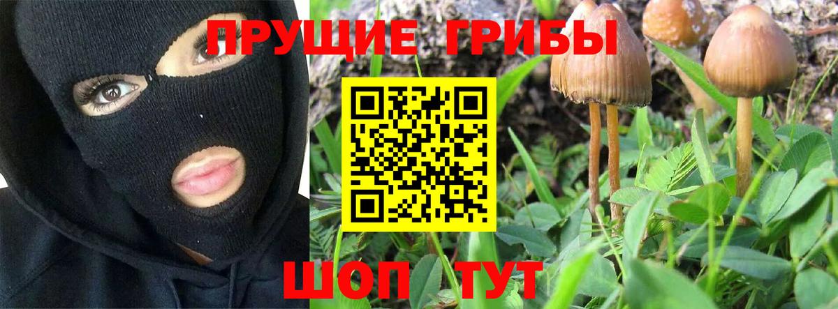 Сосновоборск  Псилоцибиновые грибы Magic Shrooms  Вход с VPN 